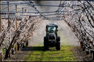 agriculture2